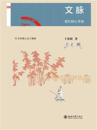 《文脉:我们的心灵史》-王充闾