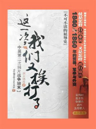 《这一次,我们又挨打了:中英第二次鸦片战争始末》-端木赐香