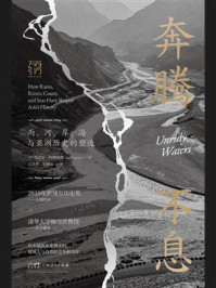 《奔腾不息:雨、河、岸、海与亚洲历史的塑造》-苏尼尔·阿姆瑞斯