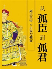 《从孤臣到孤君:雍正皇帝的正面与侧面》-麦迪