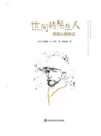 《世间的陌生人:梵高心理传记》-艾伯特·J·卢宾