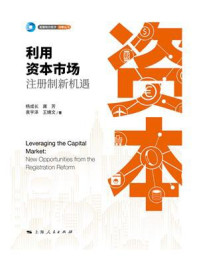《利用资本市场:注册制新机遇》-杨成长