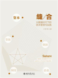 《缝合:大数据时代下的资本管理与实践》-王军伟-mobi、epub、azw3、pdf电子书免费下载/宝阳读书小站