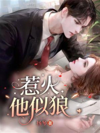 《惹火:他似狼》-扬琴