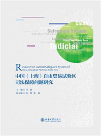 《中国(上海)自由贸易试验区司法保障问题研究》-许凯