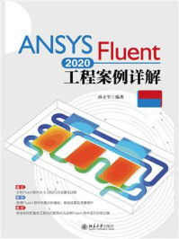 《ANSYS Fluent2020工程案例详解(视频教程版)》-孙立军