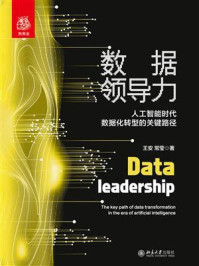《数据领导力:人工智能时代数据化转型的关键路径》-王安
