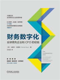 《财务数字化:全球领先企业和CFO的经验》-米歇尔·哈普特
