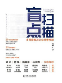 《盲点扫描:多维度解决企业经营难题》-董坤