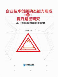 《企业技术创新动态能力形成与提升路径研究:基于创新网络演化的视角》-王昌林