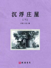 《沉浮庄屋(下)》-王锐