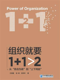 《组织就要1+1>2》-王安鑫-mobi、epub、azw3、pdf电子书免费下载/宝阳读书小站