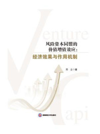 《风险资本同盟的价值增值效应:经济效果与作用机制》-邓立