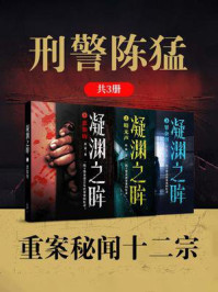 《凝渊之眸:刑警陈猛重案秘闻十二宗(全3册)》-陈猛