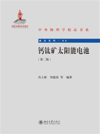 《钙钛矿太阳能电池(第二版)》-肖立新