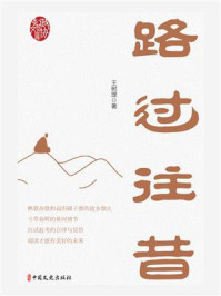《路过往昔》-王树理
