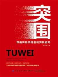 《突围:双循环经济打造经济新格局》-赵宏泽
