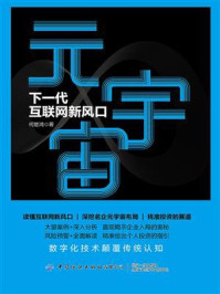 《元宇宙:下一代互联网新风口》-何楚鸿