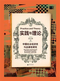 《实践与理论:中国社会经济史与法律史研究》-黄宗智