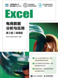 《Excel电商数据分析与应用(第2版 微课版)》-蒋长兵
