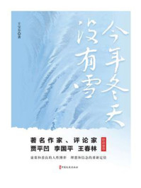 《今年冬天没有雪》-王宝存