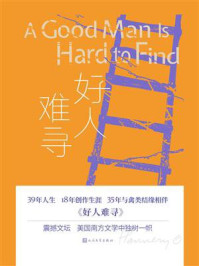 《好人难寻》-弗兰纳里·奥康纳