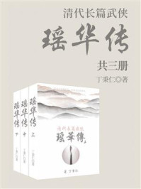 《清代长篇武侠:瑶华传(套装三册)》-丁秉仁
