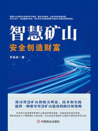 《智慧矿山:安全创造财富》-齐尚龙
