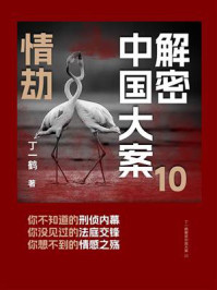 《解密中国大案10:情劫》-丁一鹤