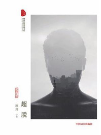 《超脱(跨度长篇小说文库)》-流岚