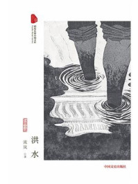 《洪水(跨度长篇小说文库)》-流岚