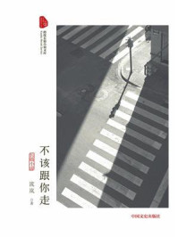《不该跟你走(跨度长篇小说文库)》-流岚