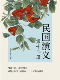 《蔡东藩经典历史小说:民国演义(12)》-蔡东藩