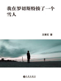 《我在罗切斯特揍了一个雪人》-王青石