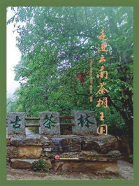 《走进云南茶树王国》-《走进云南茶树王国》编委会-mobi、epub、azw3、pdf电子书免费下载/宝阳读书小站