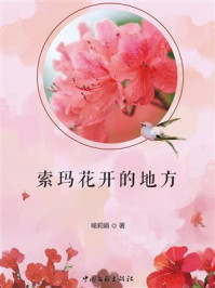 《索玛花开的地方》-喻莉娟-mobi、epub、azw3、pdf电子书免费下载/宝阳读书小站