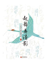 《起舞弄清影 : 大宋词人的诗酒风流》-简墨