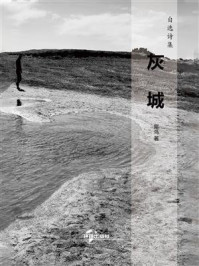 《灰城》-犀鸟