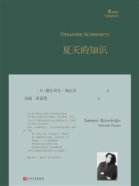 《夏天的知识》-德尔莫尔·施瓦茨