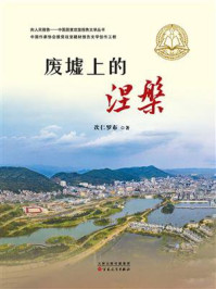 《废墟上的涅槃》-次仁罗布-mobi、epub、azw3、pdf电子书免费下载/宝阳读书小站