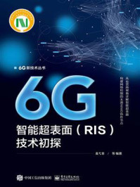 《6G智能超表面(RIS)技术初探》-袁弋非