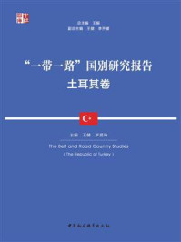 《“一带一路”国别研究报告:土耳其卷》-王健