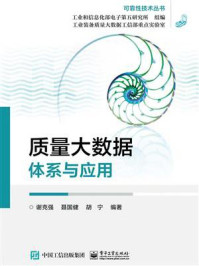 《质量大数据:体系与应用》-工业和信息化部电子第五研究所