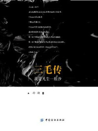 《我是凡尘一粒沙:三毛传》-冷湖