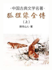 《中国古典文学名著:狐狸缘全传(上)》-醉月山人