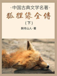 《中国古典文学名著:狐狸缘全传(下)》-醉月山人