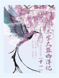 《三宝太监西洋记(十一)》-罗懋登