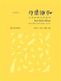《鸟集翎萃:云南珍稀鸟类鉴赏》-王紫江