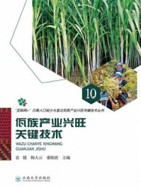 《佤族产业兴旺关键技术》-袁媛