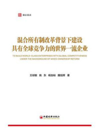 《混合所有制改革背景下建设具有全球竞争力的世界一流企业》-王祯敏-mobi、epub、azw3、pdf电子书免费下载/宝阳读书小站
